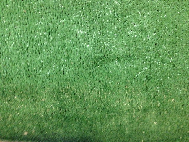 Rental store for CARPET GREEN SIZES in Fort Wayne IN