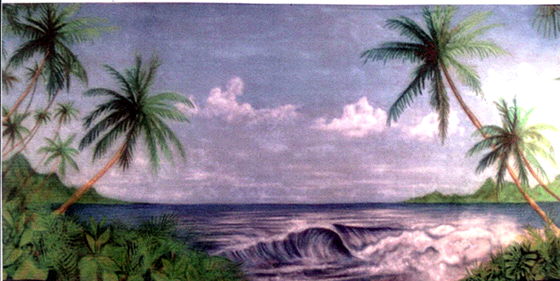 Rental store for BACKDROP TROPICAL OCEAN 20  x 8 t in Fort Wayne IN
