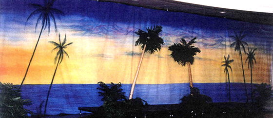 Rental store for BACKDROP TROPICAL NIGHT 40 w x 14 t in Fort Wayne IN
